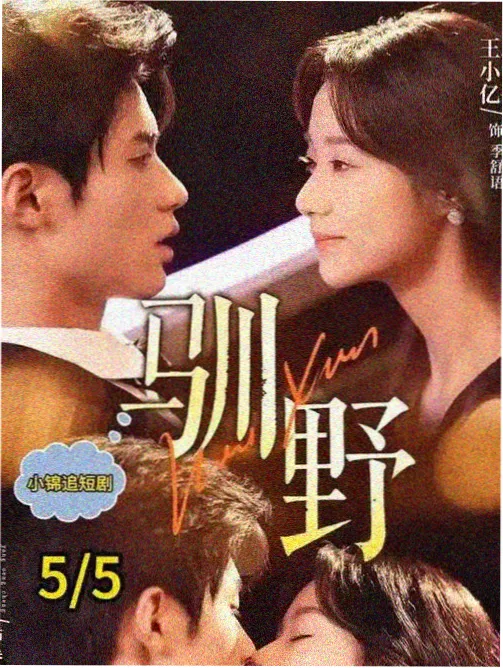 婚姻出轨电视剧 锁芯